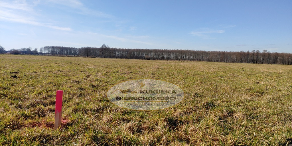Działka Sprzedaż Bolemin