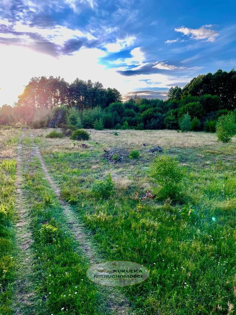 Działka Sprzedaż Gorzów Wielkopolski Zieleniec