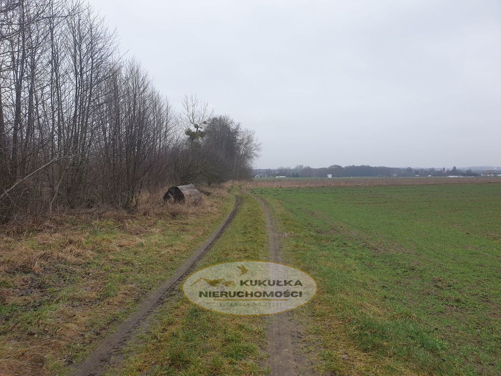 Działka Sprzedaż Gorzów Wielkopolski Zieleniec