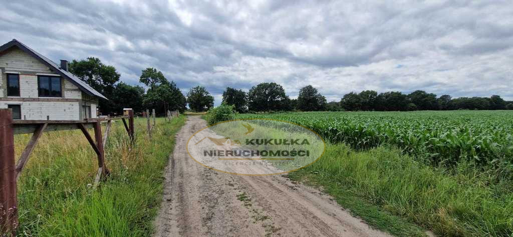 Działka Sprzedaż Murzynowo