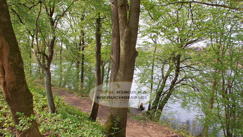 Działka Sprzedaż Kłodawa
