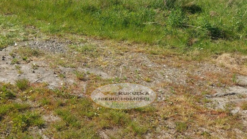 Działka Sprzedaż Kłodawa