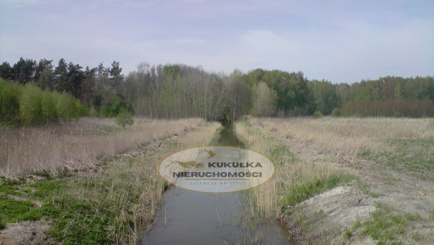 Działka Sprzedaż Dąbrowa