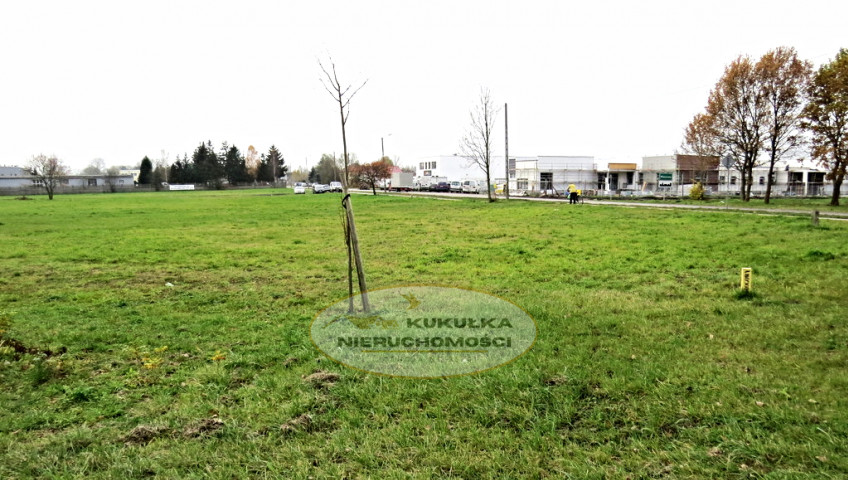 Działka Sprzedaż Maszewo