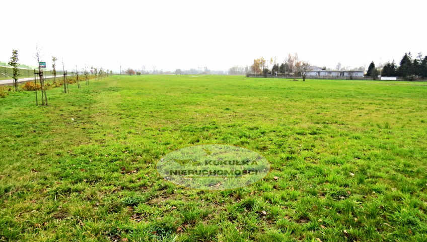Działka Sprzedaż Maszewo