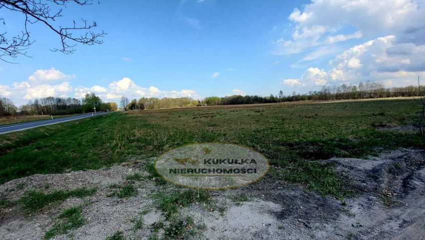Działka Sprzedaż Rogi