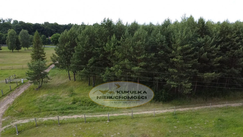 Działka Sprzedaż Danków