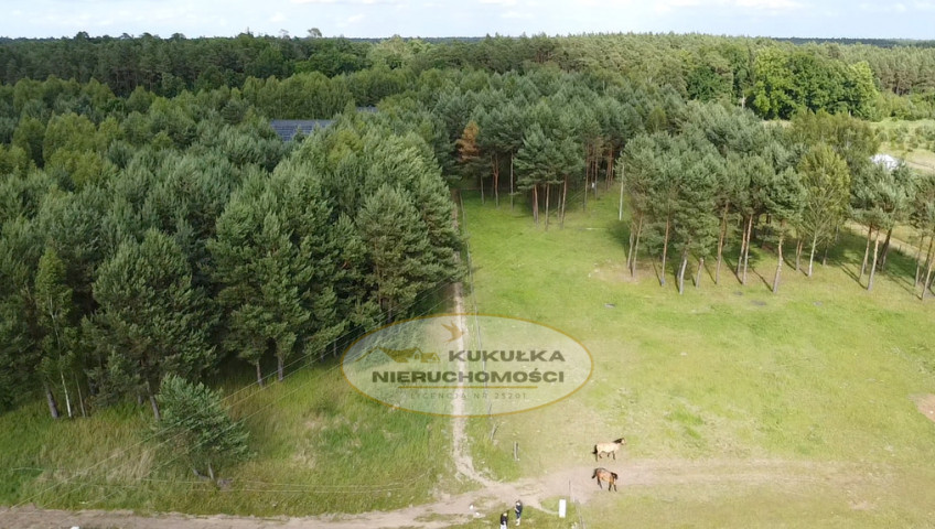 Działka Sprzedaż Danków