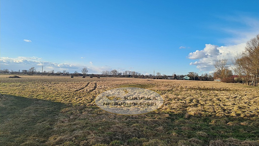 Działka Sprzedaż Krasowiec