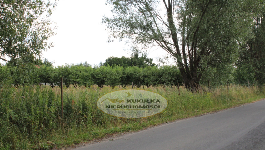 Działka Sprzedaż Gorzów Wielkopolski