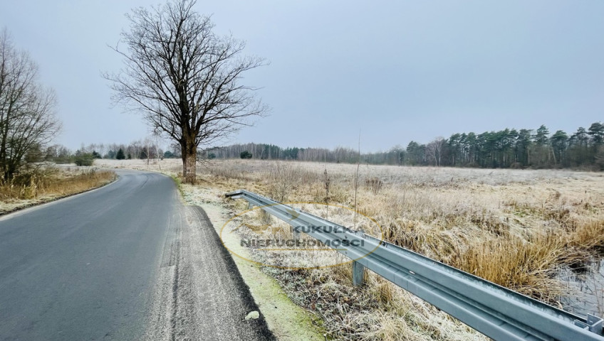 Działka Sprzedaż Dąbrowa