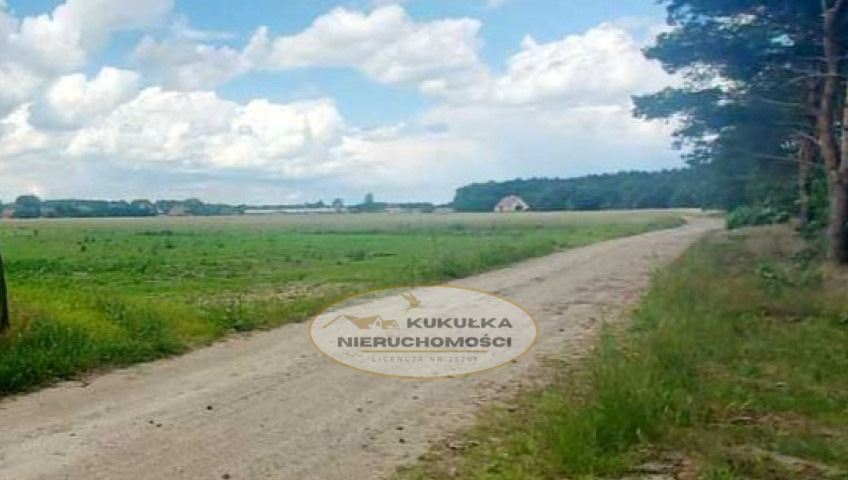 Działka Sprzedaż Dziersławice