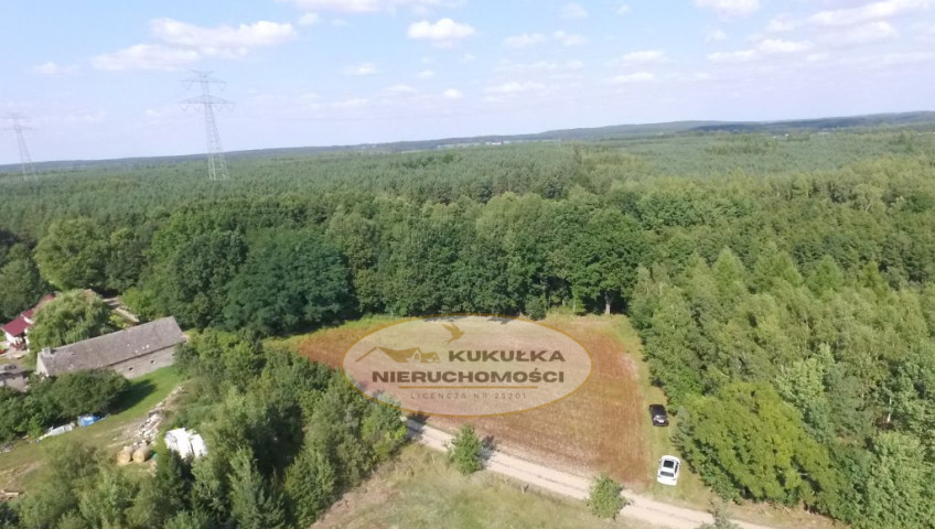 Działka Sprzedaż Kozin