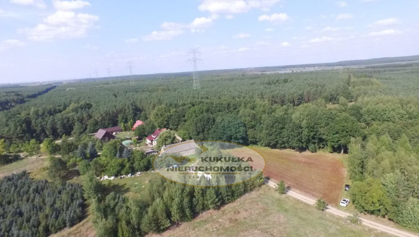Działka Sprzedaż Kozin