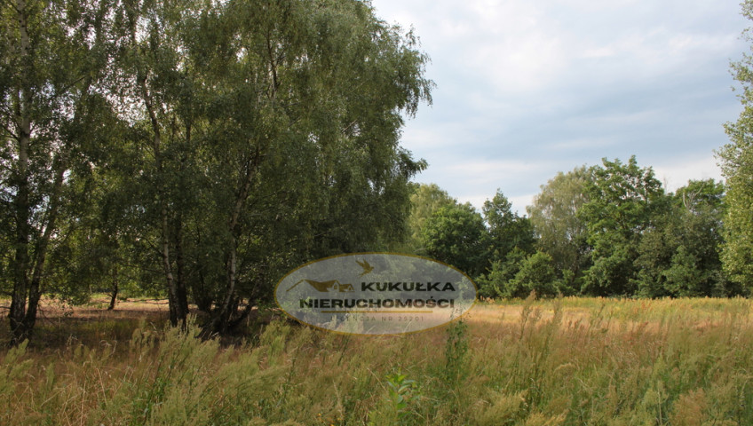Działka Sprzedaż Baczyna