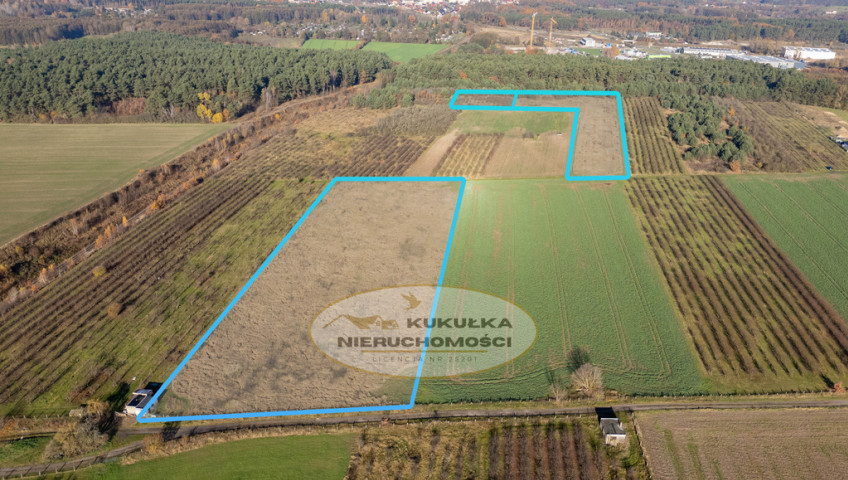 Działka Sprzedaż Skwierzyna Międzyrzecka
