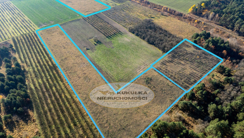 Działka Sprzedaż Skwierzyna Międzyrzecka