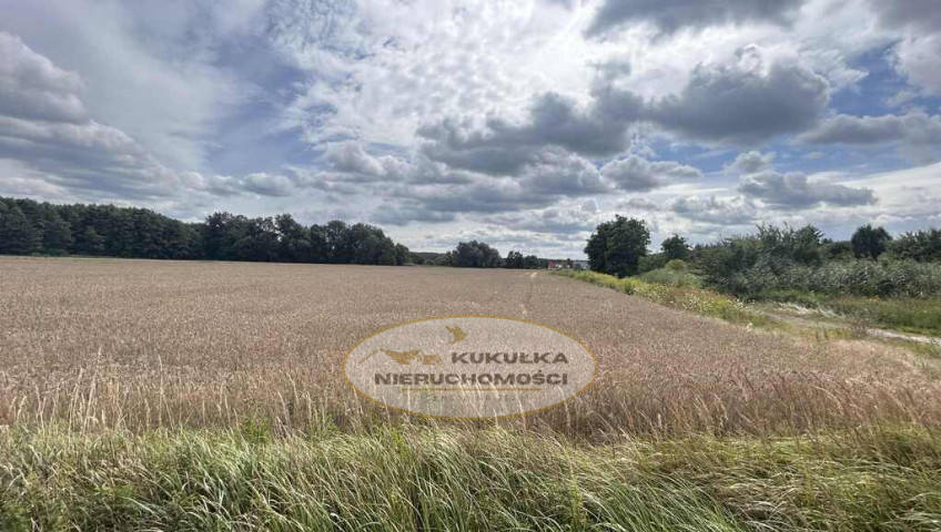 Działka Sprzedaż Gorzów Wielkopolski Zieleniec Niwicka