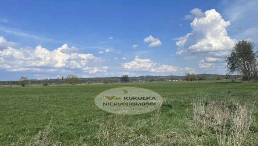 Działka Sprzedaż Pyrzany