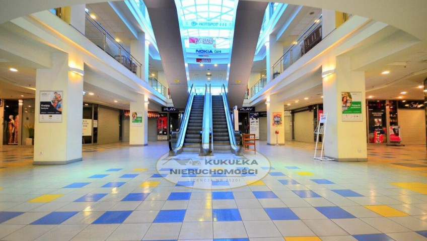 Lokal Wynajem Gorzów Wielkopolski Centrum