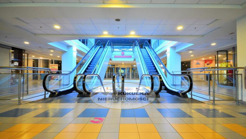 Lokal Wynajem Gorzów Wielkopolski Centrum