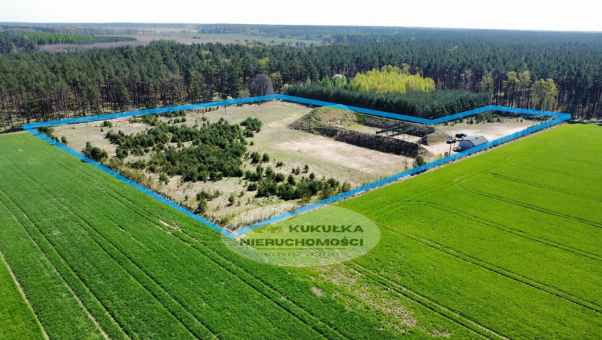Działka Sprzedaż Płonno