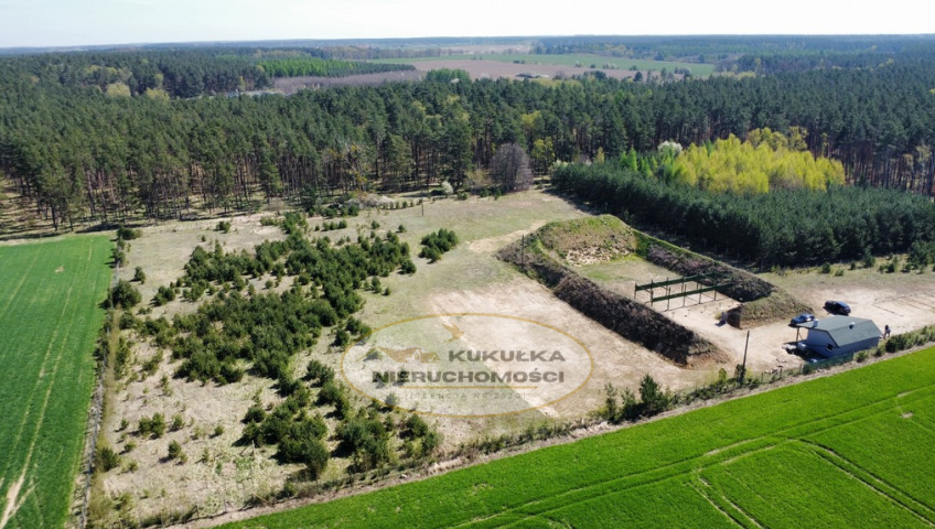 Działka Sprzedaż Płonno