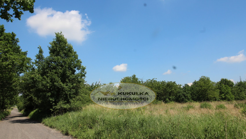 Działka Sprzedaż Gorzów Wielkopolski Chróścik Zbożowa