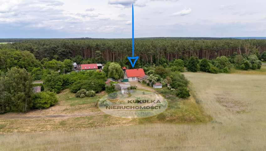 Dom Sprzedaż Mościce