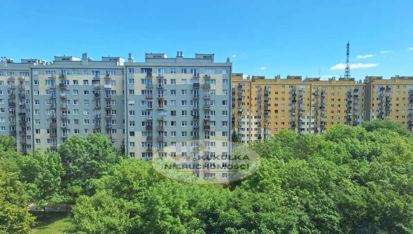 Mieszkanie Wynajem Gorzów Wielkopolski os. Dolinki