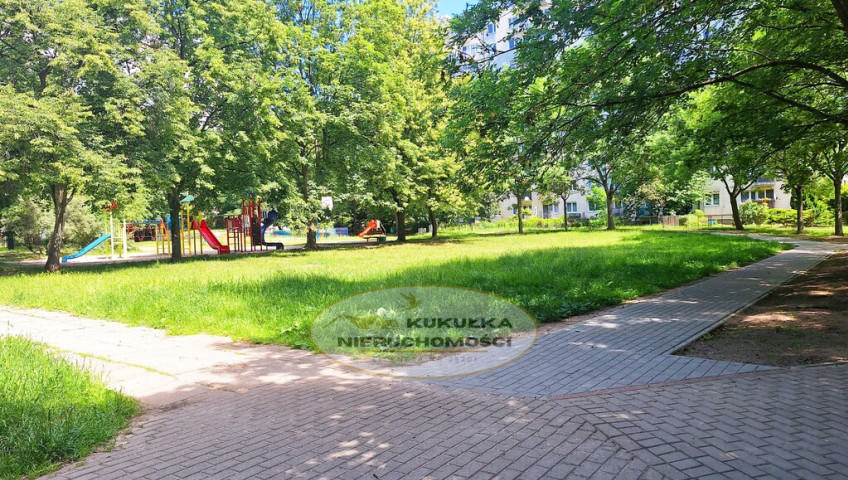 Mieszkanie Wynajem Gorzów Wielkopolski os. Dolinki
