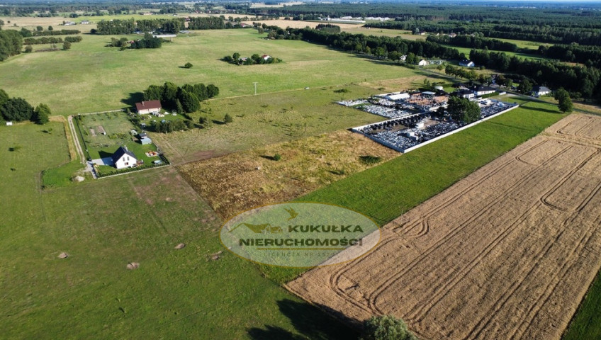 Działka Sprzedaż Borek