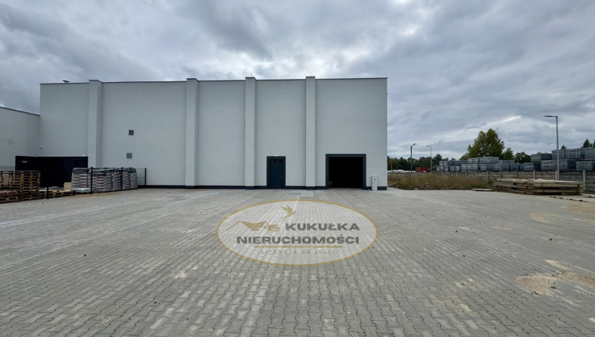 Lokal Wynajem Gorzów Wielkopolski