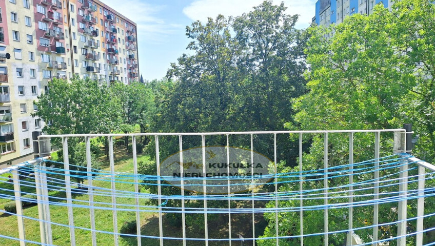 Mieszkanie Wynajem Gorzów Wielkopolski os. Staszica