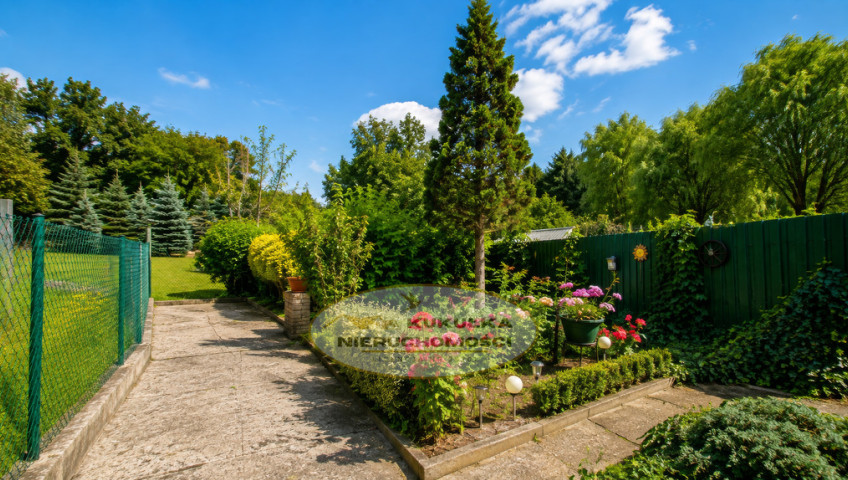 Dom Sprzedaż Gorzów Wielkopolski