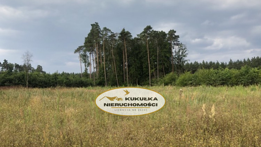 Działka Sprzedaż Danków
