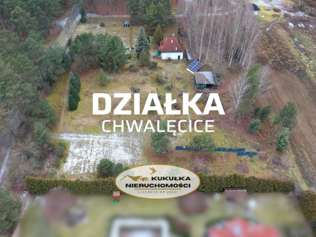 Działka Sprzedaż Chwalęcice Leśna