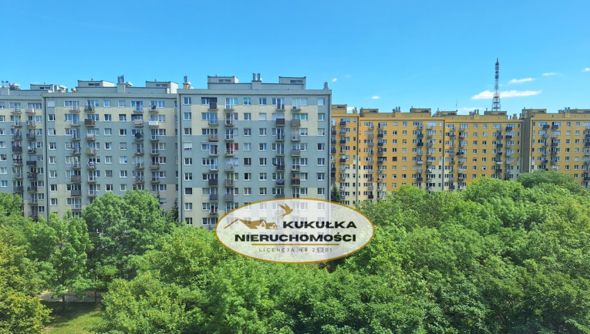 Mieszkanie Wynajem Gorzów Wielkopolski os. Dolinki