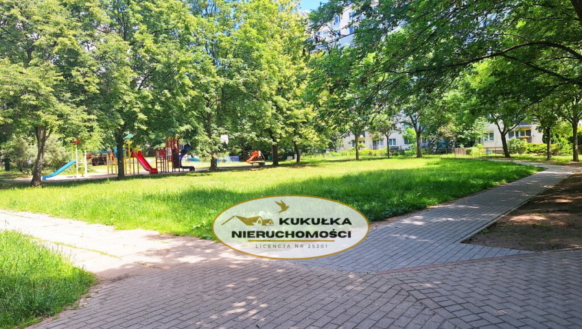 Mieszkanie Wynajem Gorzów Wielkopolski os. Dolinki