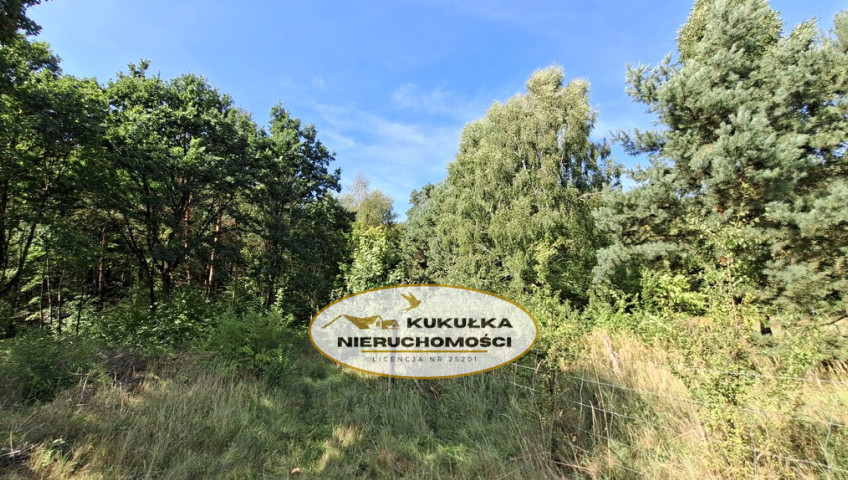 Działka Sprzedaż Bogdaniec