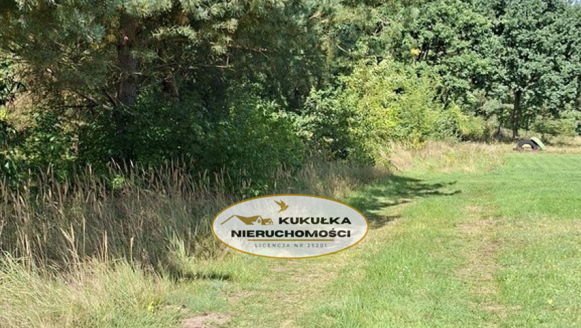 Działka Sprzedaż Bogdaniec