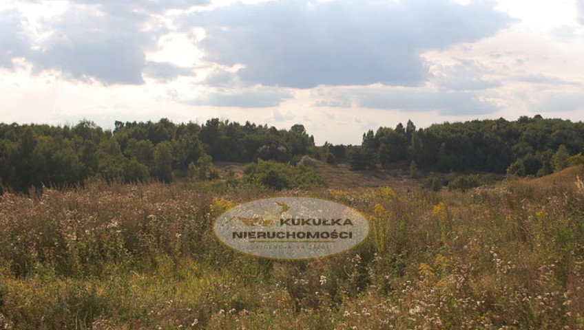 Dom Sprzedaż Gorzów Wielkopolski os. Europejskie