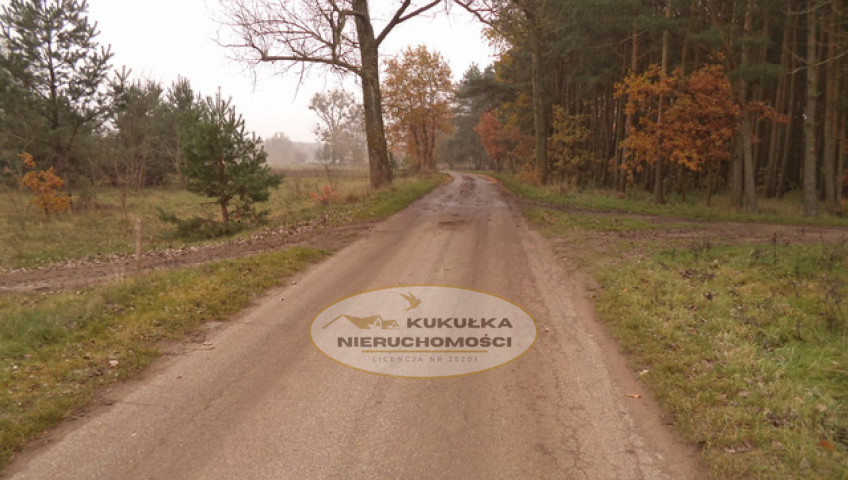 Działka Sprzedaż Goszczanowiec