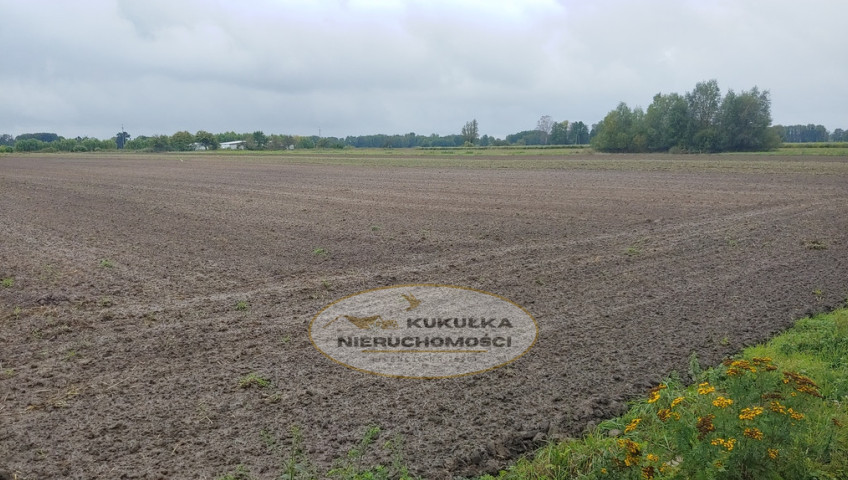 Działka Sprzedaż Gorzów Wielkopolski Zieleniec