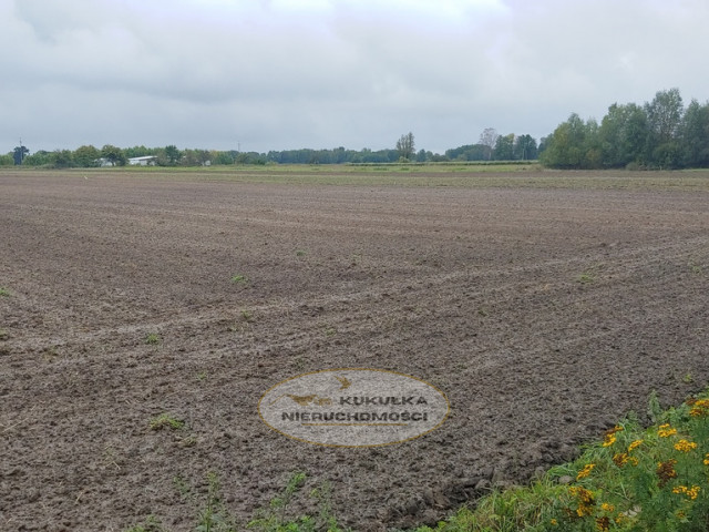 Działka Sprzedaż Gorzów Wielkopolski Zieleniec