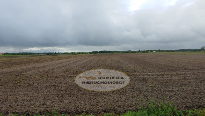 Działka Sprzedaż Gorzów Wielkopolski Zieleniec