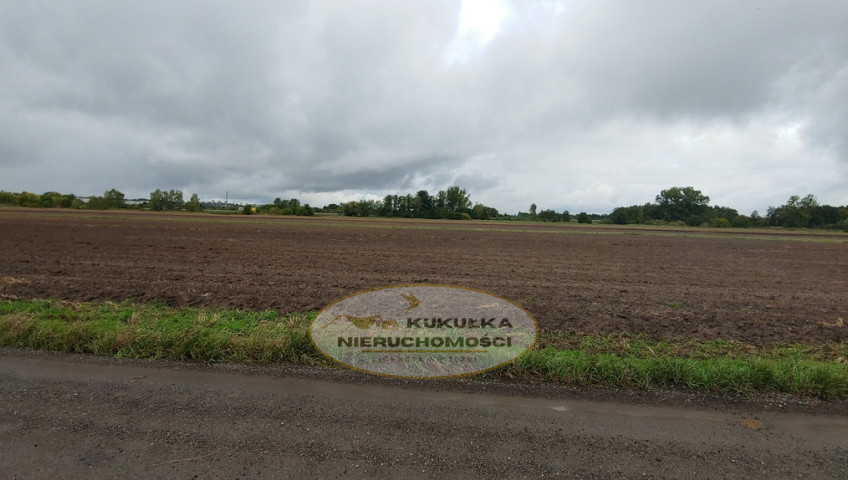 Działka Sprzedaż Gorzów Wielkopolski Zieleniec