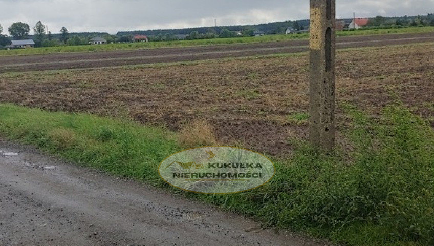 Działka Sprzedaż Gorzów Wielkopolski Zieleniec