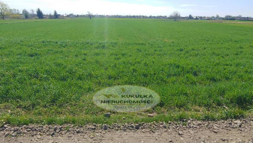 Działka Sprzedaż Gorzów Wielkopolski Zakanale
