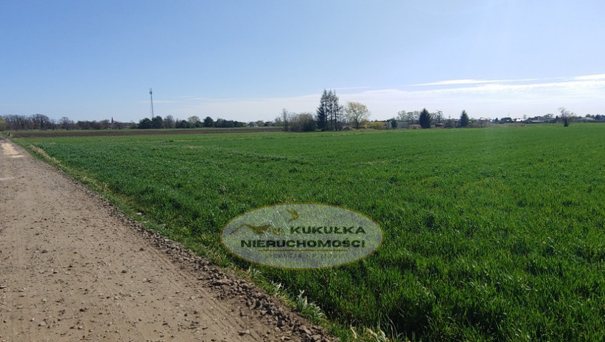 Działka Sprzedaż Gorzów Wielkopolski Zakanale